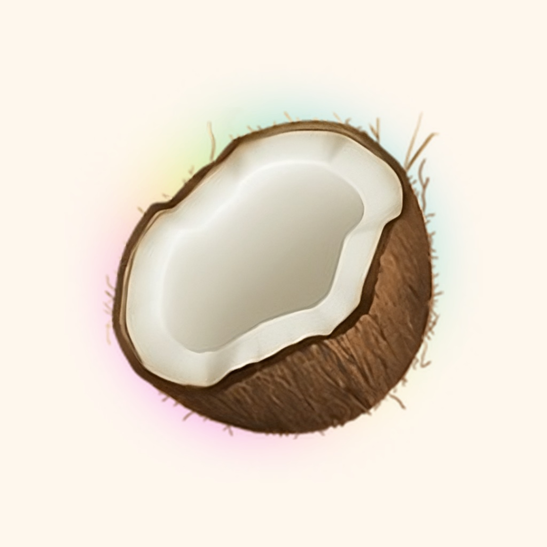 Coconote